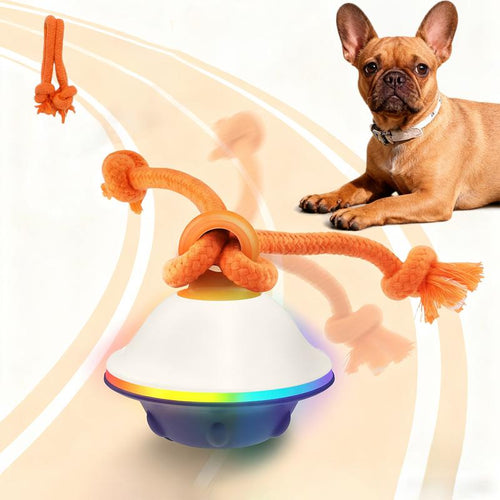 Automatic Moving & Rolling Interactive Toy, Ball with Rope for Boredom Relief in Small and Medium Dogs and Cats.